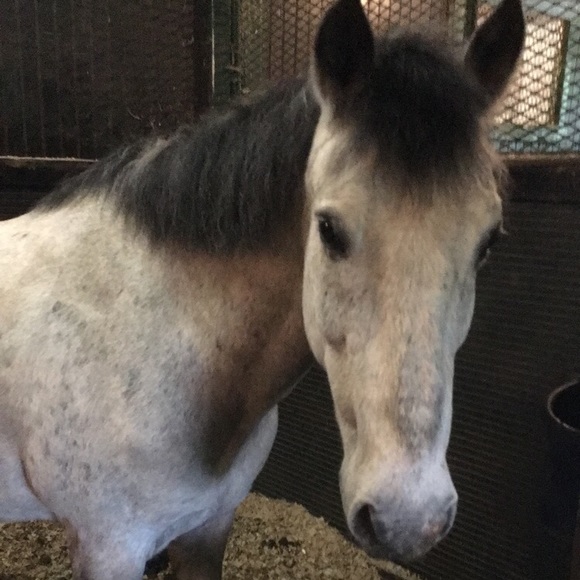 Hi! Iโm Nicolette! - Picture 3 of 5